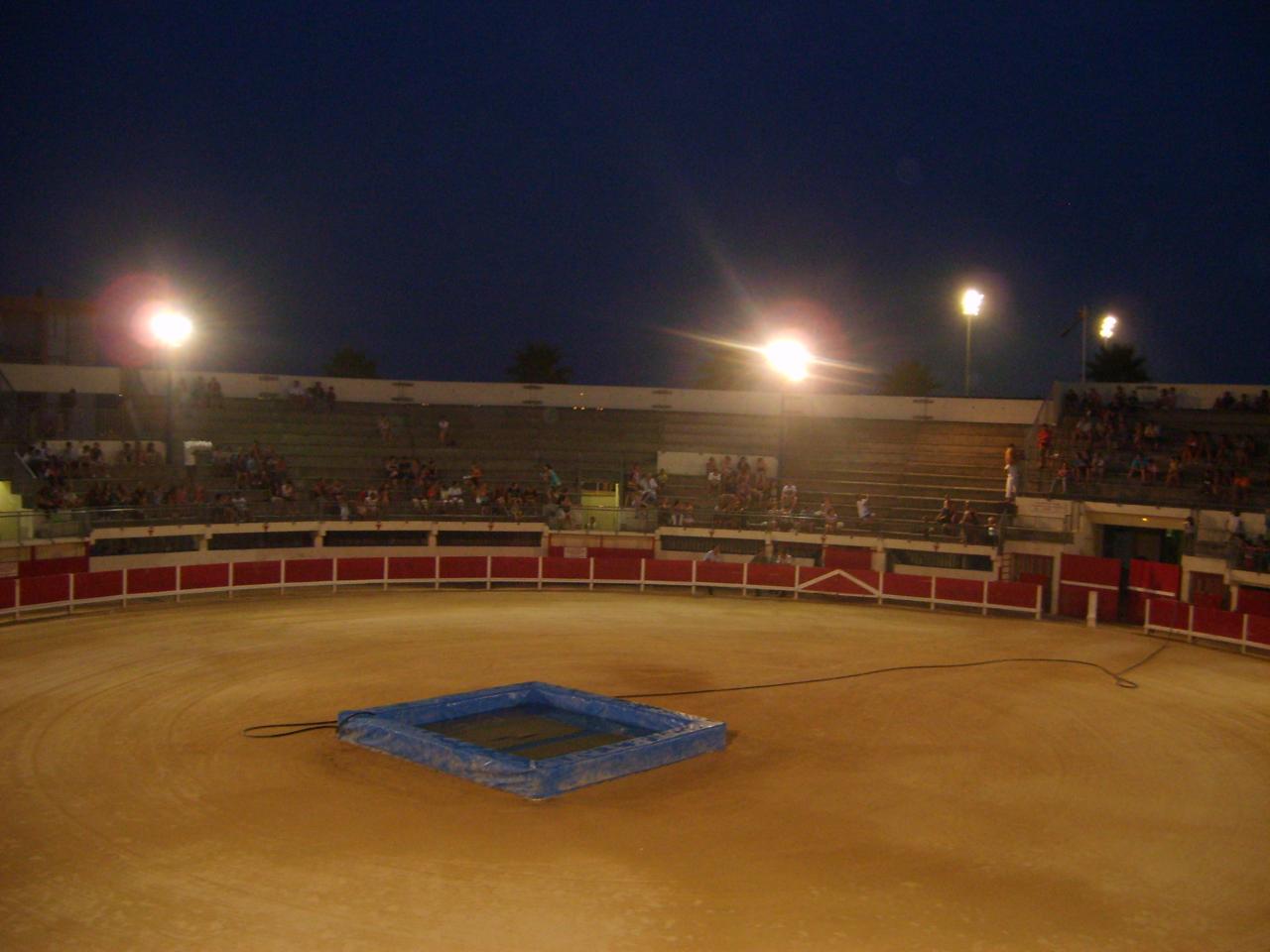 Toro piscine !